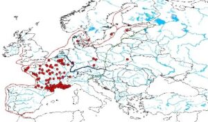 The Atlantic Route and the Punic Coins